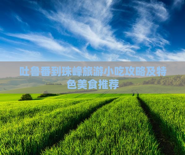 吐鲁番到珠峰旅游小吃攻略及特色美食推荐