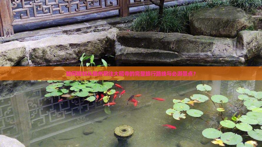 如何规划从赣州前往大昭寺的完整旅行路线与必游景点？