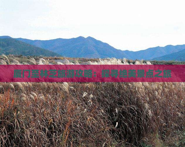 厦门至林芝旅游攻略：探寻绝美景点之旅