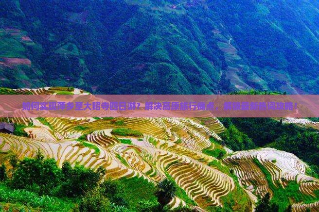 如何实现萍乡至大昭寺四日游？解决高原旅行痛点，解锁最新热词攻略！