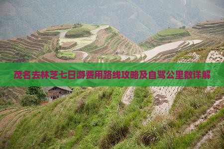 茂名去林芝七日游费用路线攻略及自驾公里数详解