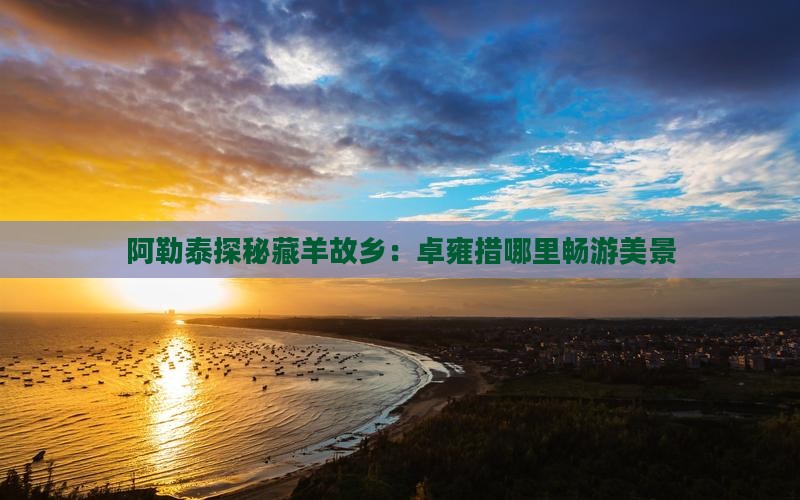阿勒泰探秘藏羊故乡：卓雍措哪里畅游美景