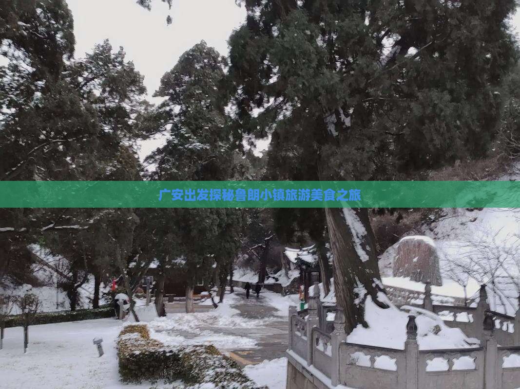 广安出发探秘鲁朗小镇旅游美食之旅