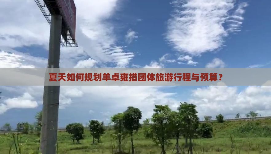 夏天如何规划羊卓雍措团体旅游行程与预算？