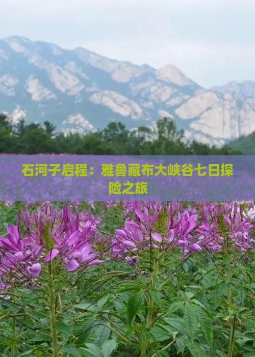 石河子启程：雅鲁藏布大峡谷七日探险之旅