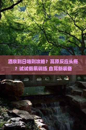 酒泉到日喀则攻略？高原反应头疼？试试低氧训练+自驾新装备
