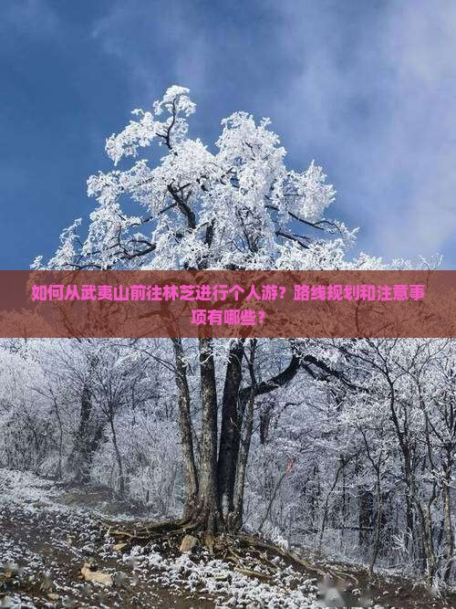 如何从武夷山前往林芝进行个人游？路线规划和注意事项有哪些？
