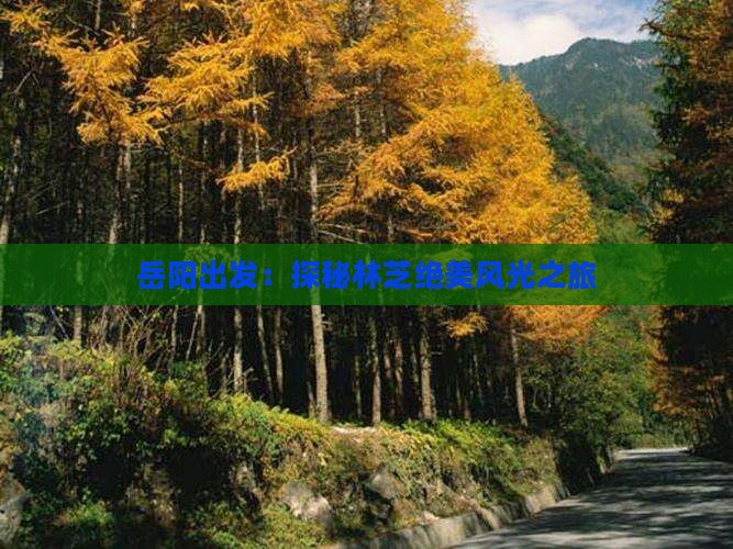 岳阳出发：探秘林芝绝美风光之旅