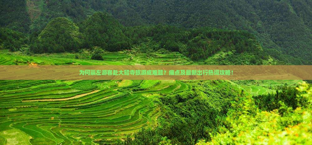 为何崇左游客赴大昭寺旅游成难题？痛点及最新出行热词攻略！