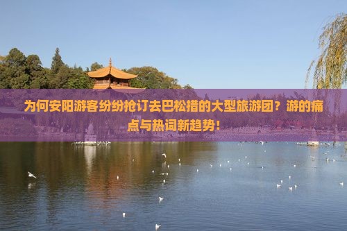 为何安阳游客纷纷抢订去巴松措的大型旅游团？游的痛点与热词新趋势！