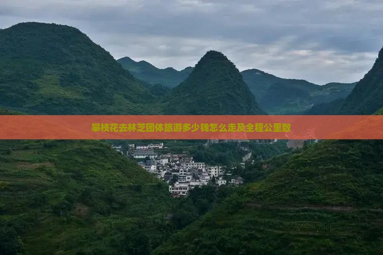 攀枝花去林芝团体旅游多少钱怎么走及全程公里数