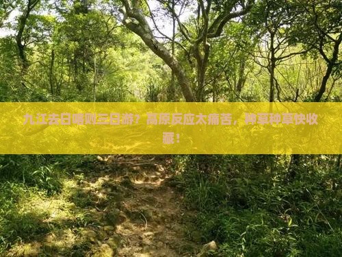 九江去日喀则三日游？高原反应太痛苦，种草种草快收藏！