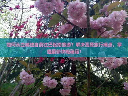 如何从白城独自前往巴松措旅游？解决高原旅行痛点，掌握最新攻略秘籍！