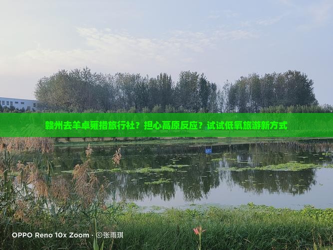 赣州去羊卓雍措旅行社？担心高原反应？试试低氧旅游新方式
