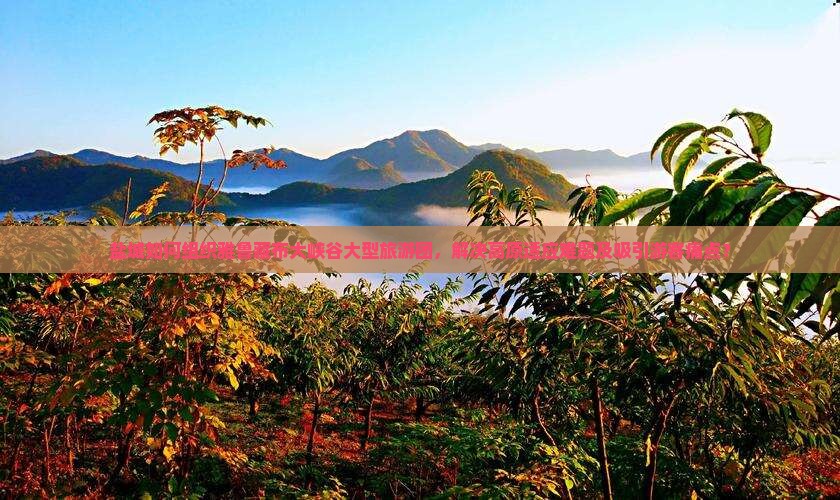 盐城如何组织雅鲁藏布大峡谷大型旅游团，解决高原适应难题及吸引游客痛点？