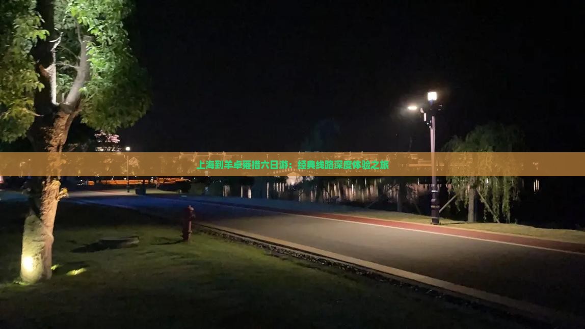 上海到羊卓雍措六日游：经典线路深度体验之旅