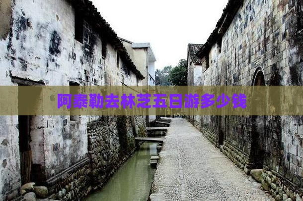 阿泰勒去林芝五日游多少钱