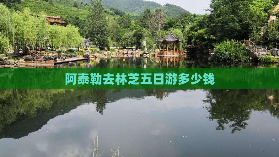 阿泰勒去林芝五日游多少钱