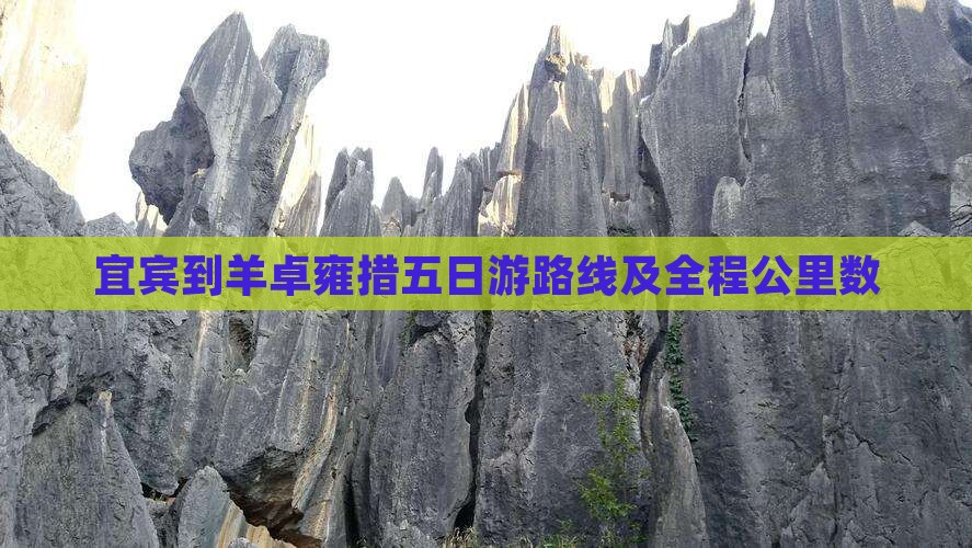 宜宾到羊卓雍措五日游路线及全程公里数