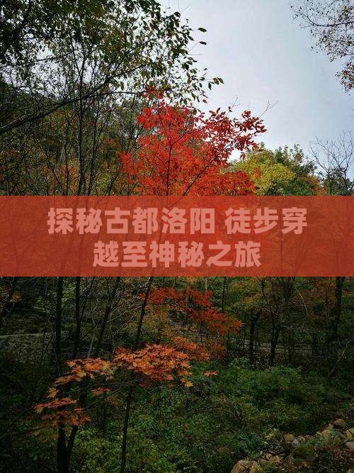 探秘古都洛阳 徒步穿越至神秘之旅