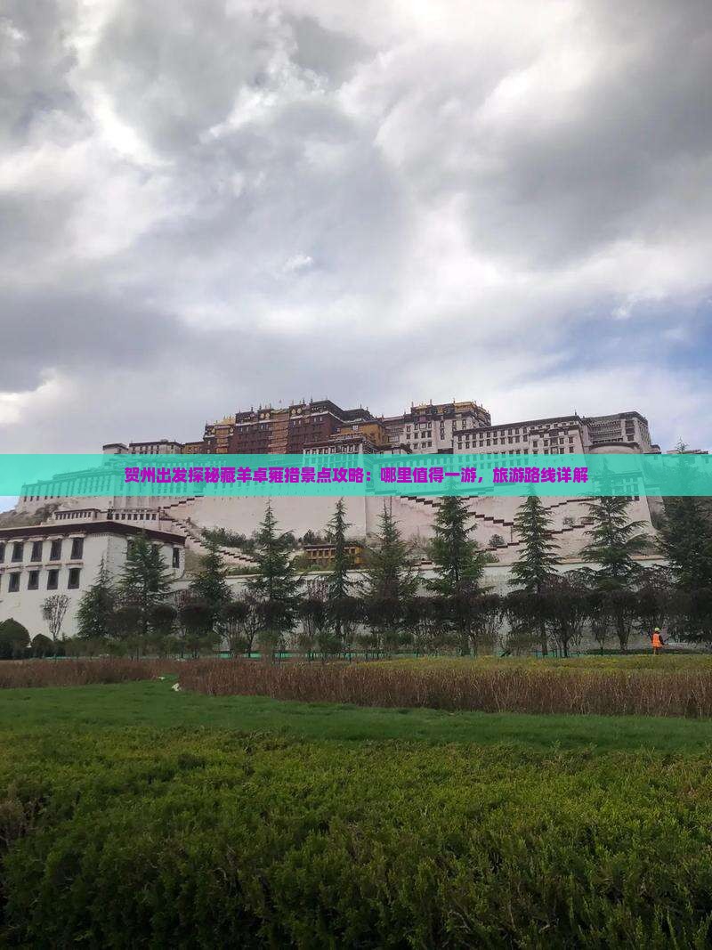贺州出发探秘藏羊卓雍措景点攻略：哪里值得一游，旅游路线详解
