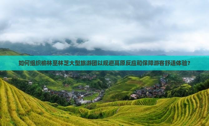 如何组织榆林至林芝大型旅游团以规避高原反应和保障游客舒适体验？