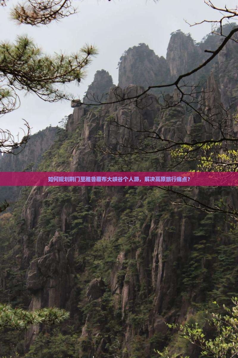 如何规划荆门至雅鲁藏布大峡谷个人游，解决高原旅行痛点？