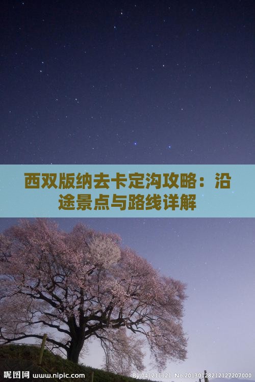 西双版纳去卡定沟攻略：沿途景点与路线详解