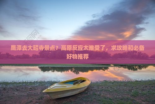 鹰潭去大昭寺景点？高原反应太难受了，求攻略和必备好物推荐