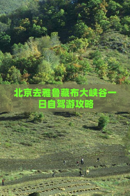 北京去雅鲁藏布大峡谷一日自驾游攻略