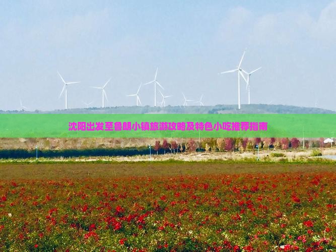 沈阳出发至鲁朗小镇旅游攻略及特色小吃推荐指南 沈阳出发至鲁朗小镇旅游攻略及特色小吃推荐指南