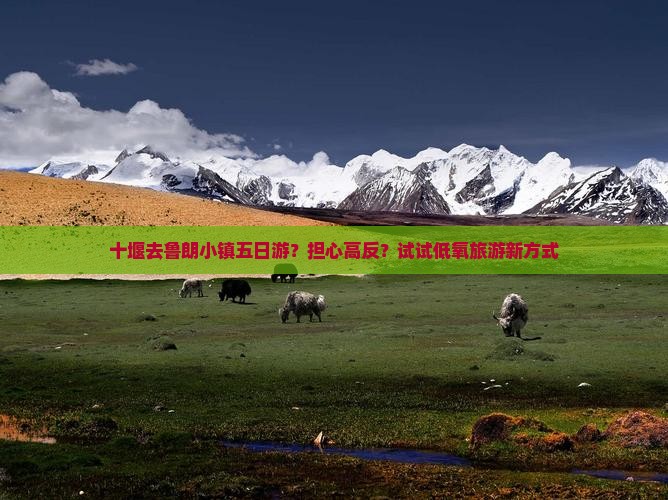 十堰去鲁朗小镇五日游？担心高反？试试低氧旅游新方式