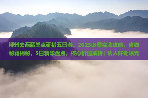 柳州去西藏羊卓雍措五日游