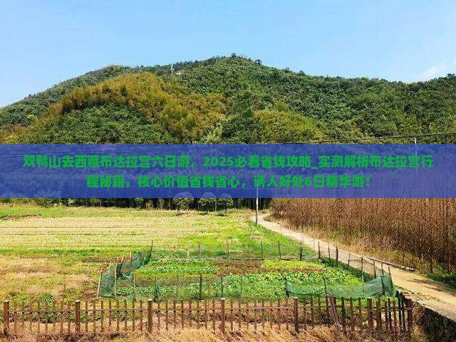 双鸭山去西藏布达拉宫六日游