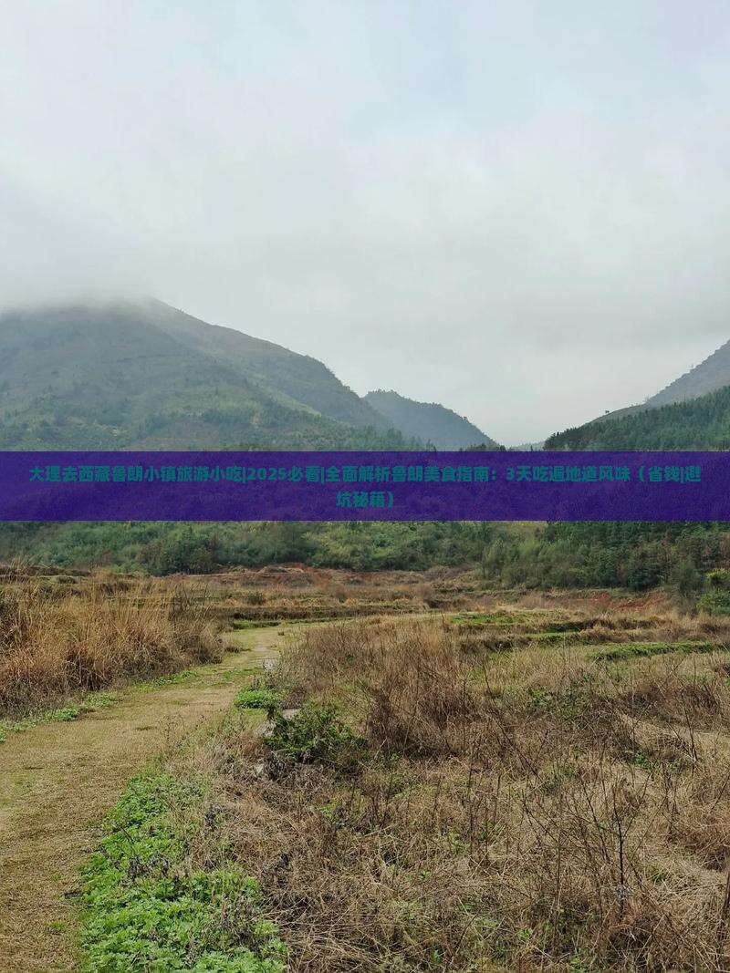 大理去西藏鲁朗小镇旅游小吃