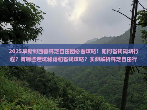 阜新到西藏林芝自由团