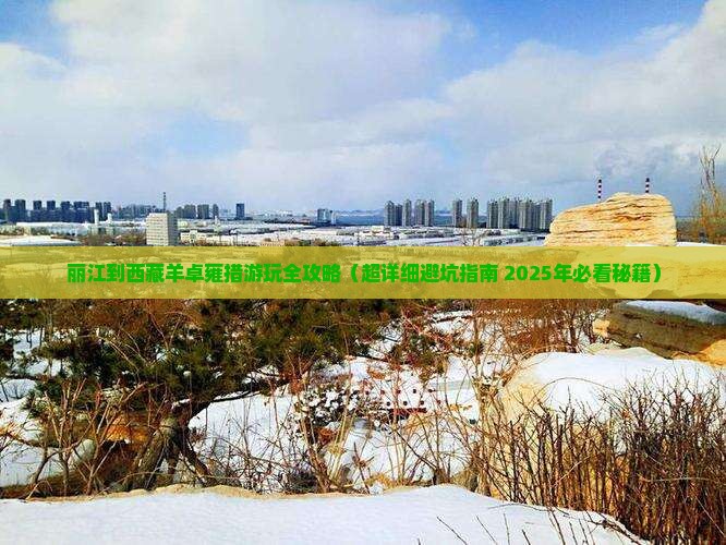 丽江去西藏羊卓雍措必去地