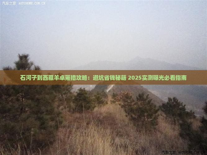 石河子到西藏羊卓雍措攻略