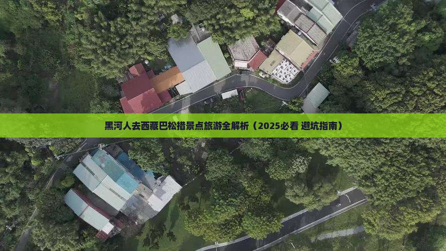 黑河去西藏巴松措景点