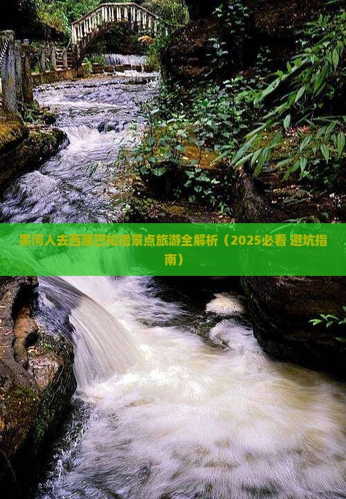 黑河去西藏巴松措景点