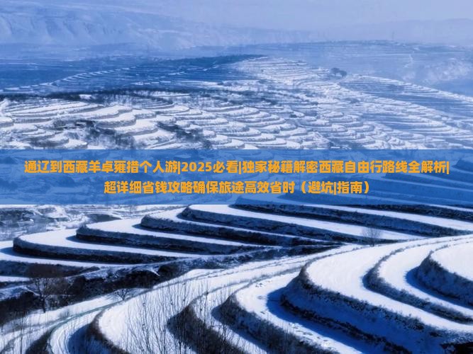 通辽到西藏羊卓雍措个人游