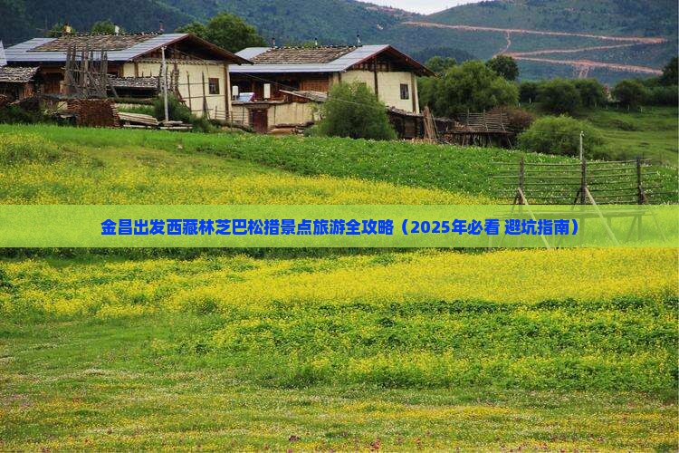 金昌到西藏巴松措景点