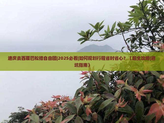 迪庆去西藏巴松措自由团