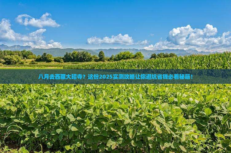 八月到西藏大昭寺必去地