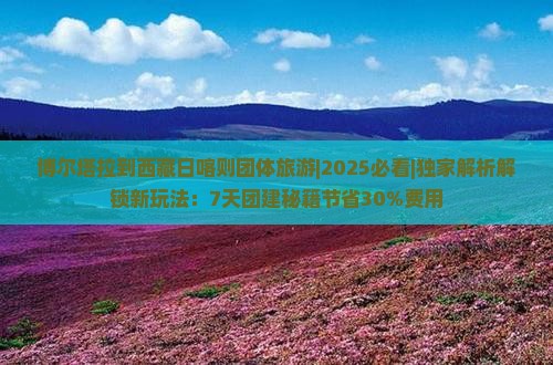 博尔塔拉到西藏日喀则团体旅游
