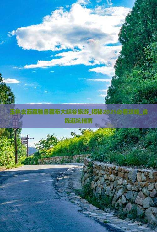 玉林去西藏雅鲁藏布大峡谷旅游