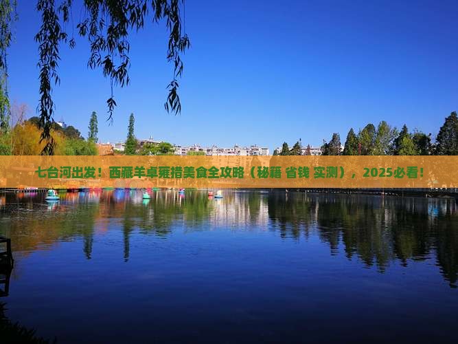七台河到西藏羊卓雍措旅游小吃