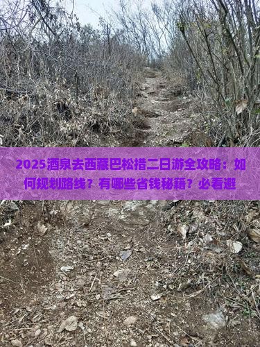 酒泉去西藏巴松措二日游