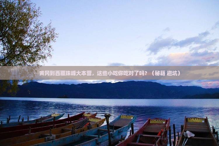 黄冈到西藏珠峰大本营旅游小吃