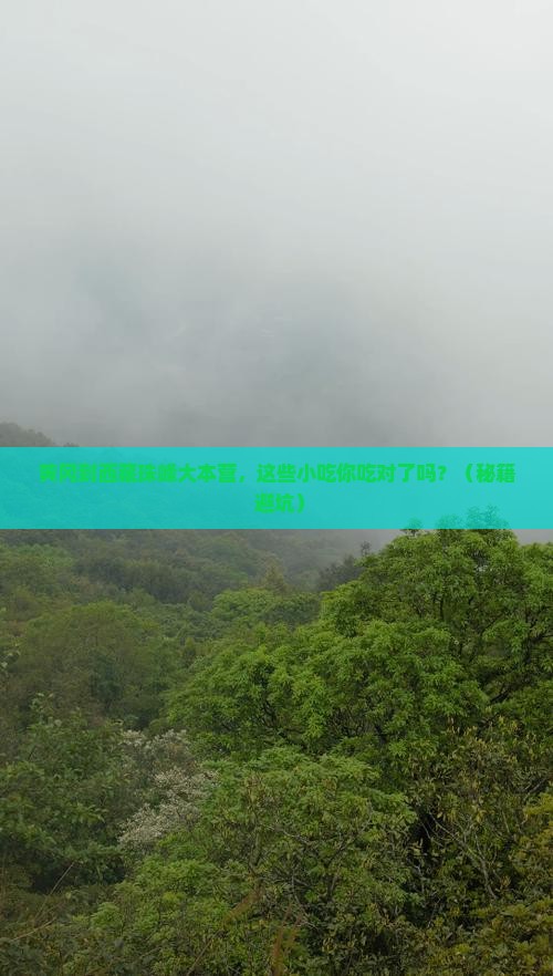 黄冈到西藏珠峰大本营旅游小吃